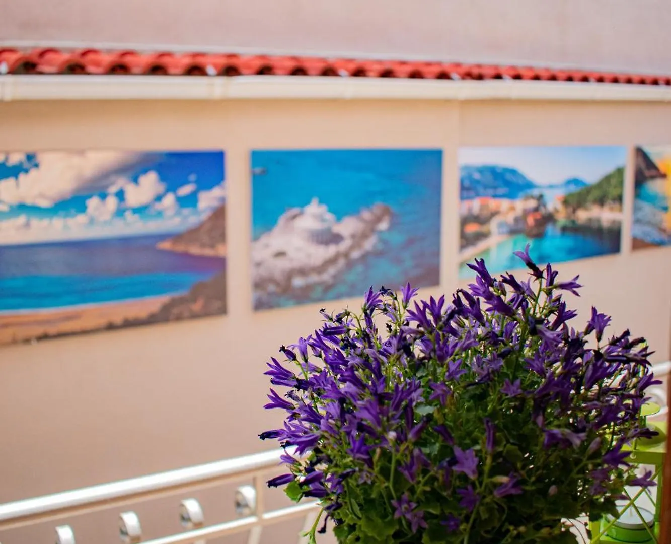Dina Apartments Argostoli